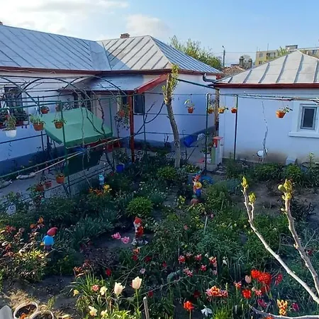 Guest house Casa La Catalin Sulina