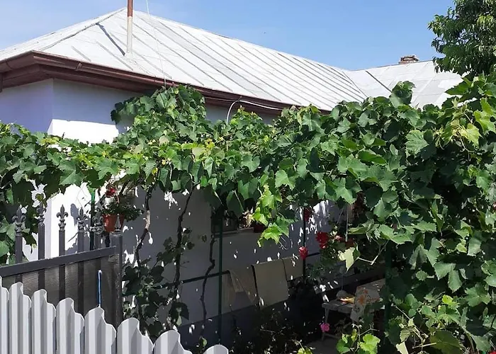 Guest house Casa La Catalin *